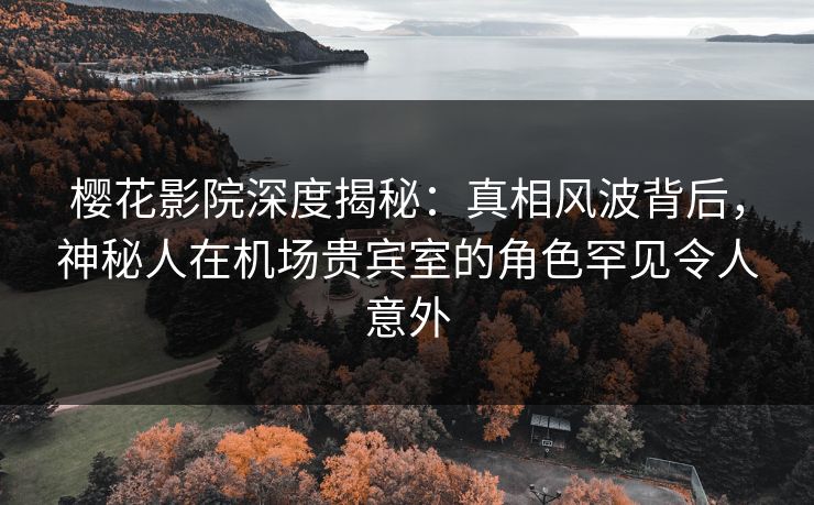 樱花影院深度揭秘：真相风波背后，神秘人在机场贵宾室的角色罕见令人意外