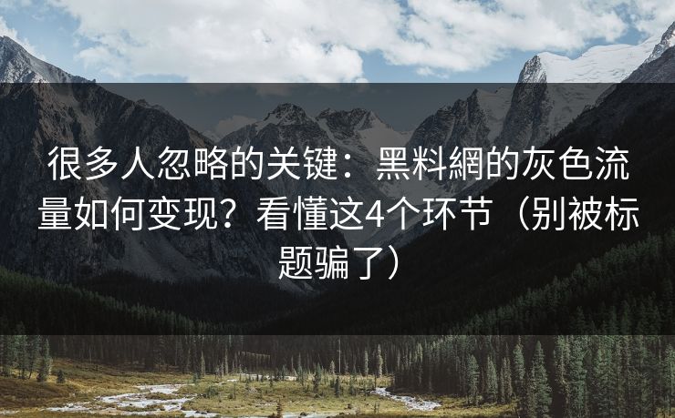 很多人忽略的关键：黑料網的灰色流量如何变现？看懂这4个环节（别被标题骗了）